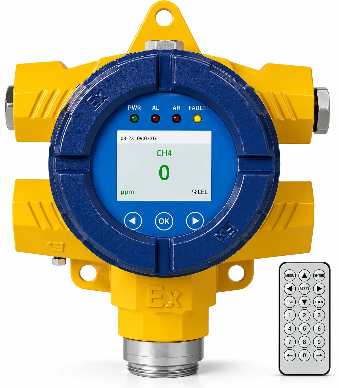 Combustible & Corrosive Gas Detector